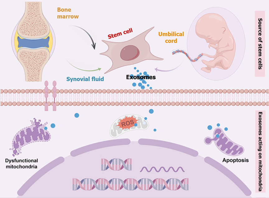 17606855231387773380.png 微信图片_2025-10-17_135306_072.png