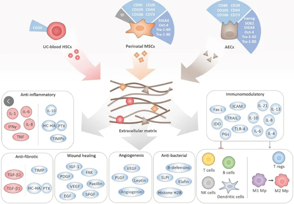 1761296787133656D908.png 2.png