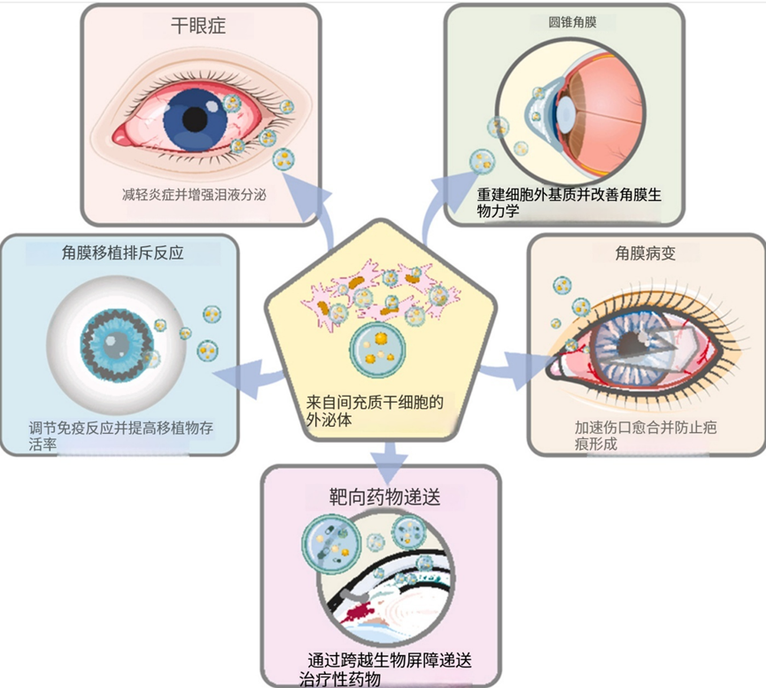 1774603747119215983B.png 微信图片_2026-03-27_172156_981.png