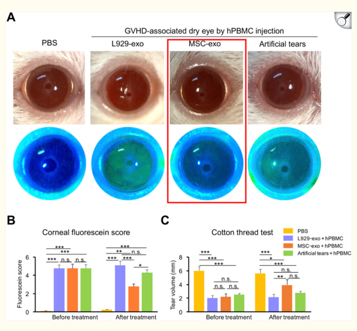 1774603774989687p33B.png 微信图片_2026-03-27_172202_979.png