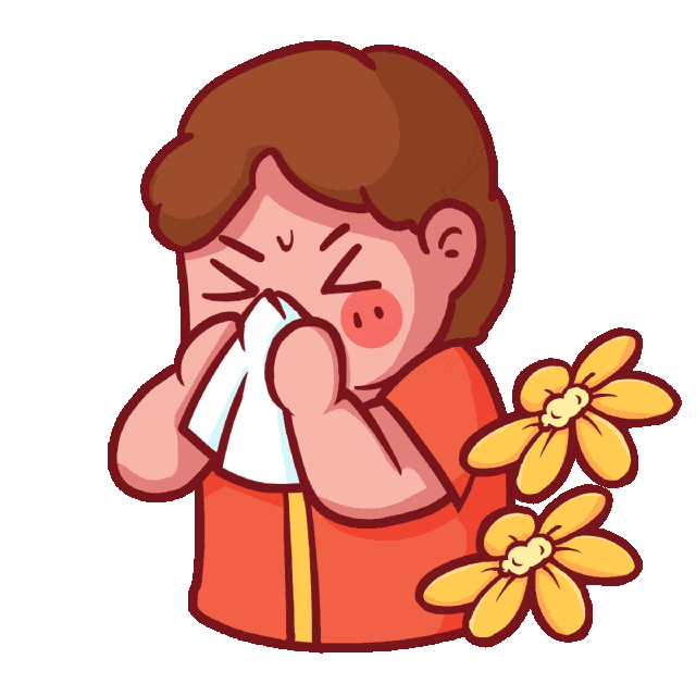 1775120477293003C254.jpg 1.jpg