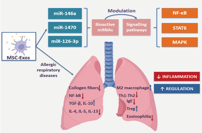 177512051651638258DA.png 5.png