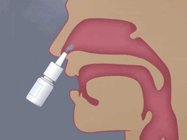 1775120534127563A033.jpg 6.jpg