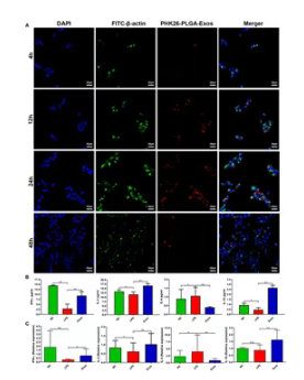 1775120544260600C6F5.png 微信图片_2026-04-02_163230_346.png