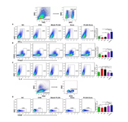 1775120560148115p49A.png 微信图片_2026-04-02_163358_675.png