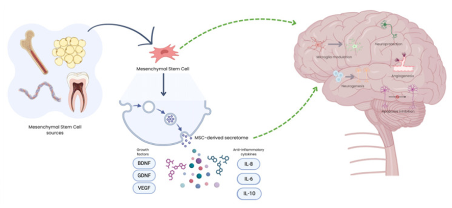 177581386710696487CF.png 微信图片_2026-04-10_173238_986.png