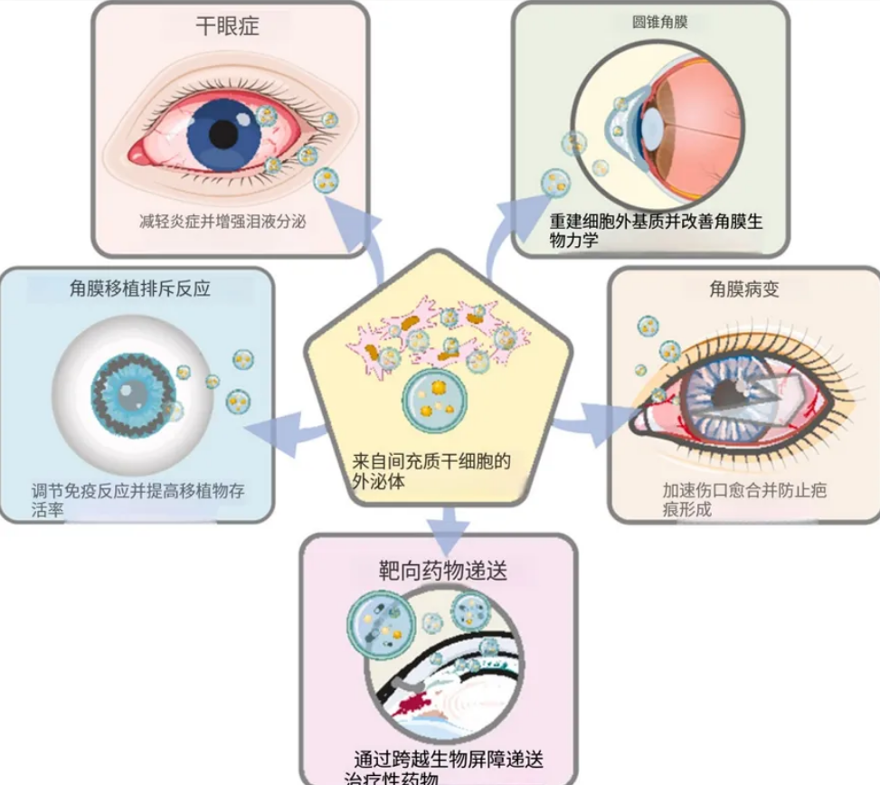 17764147399291429752.png 微信图片_2026-04-16_175523_499.png