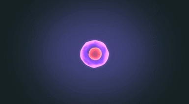 1778836897133480A788.jpg 微信图片_2026-05-15_104029_479.jpg