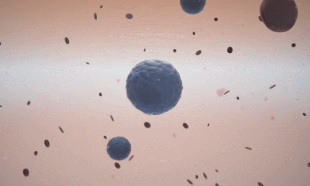 1779874009822423C60A.gif 2.gif