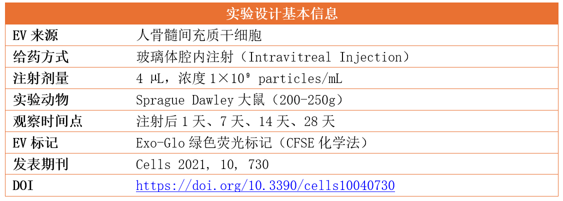 17810553403708476945.png ff50d36b-73f4-40e1-8b2e-9f7da0ffdbe9.png