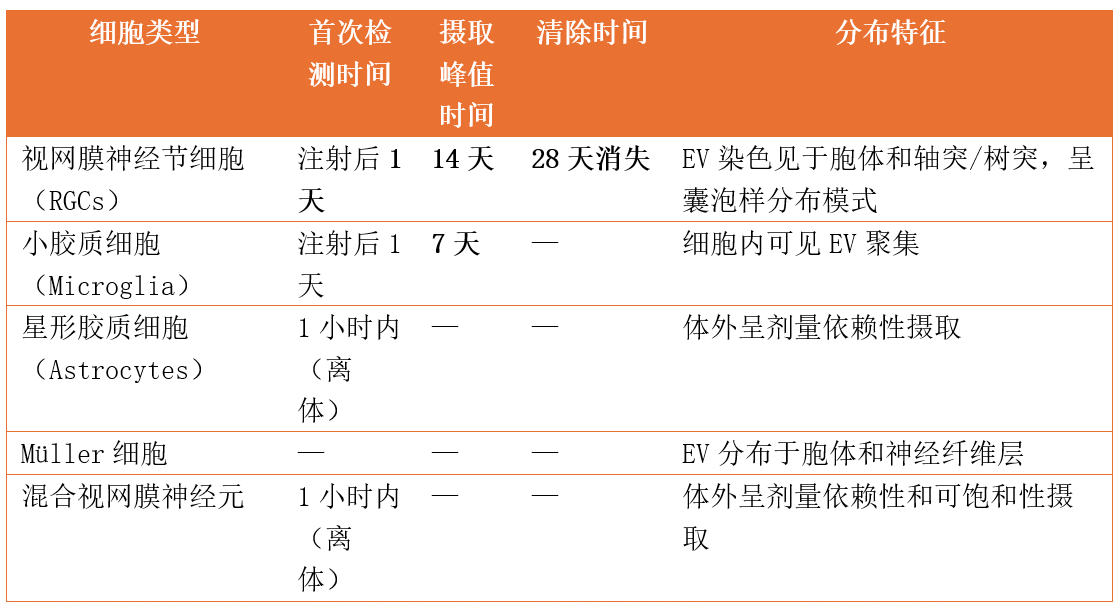 1781055362675900C158.png 7660cf83-ff63-4d0e-8da7-2affcac0a276.png