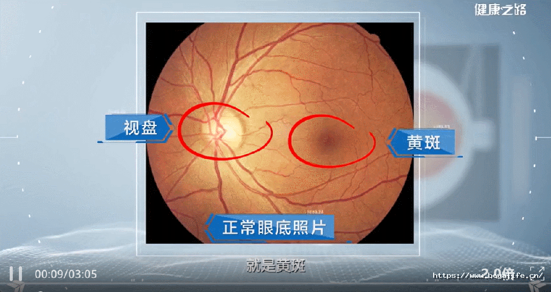 17835042325422007252.jpg 微信图片_2026-07-08_173938_322.jpg