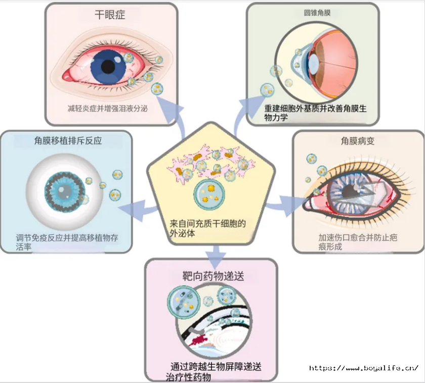 17848835749984668661.png 微信图片_2026-07-24_165521_665.png