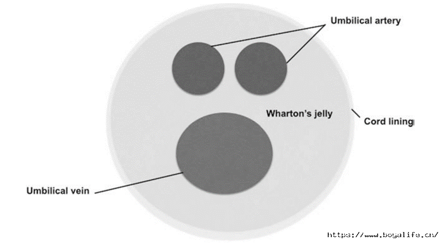 1791537625639667p12E.png 微信图片_2026-10-09_171251_700.png